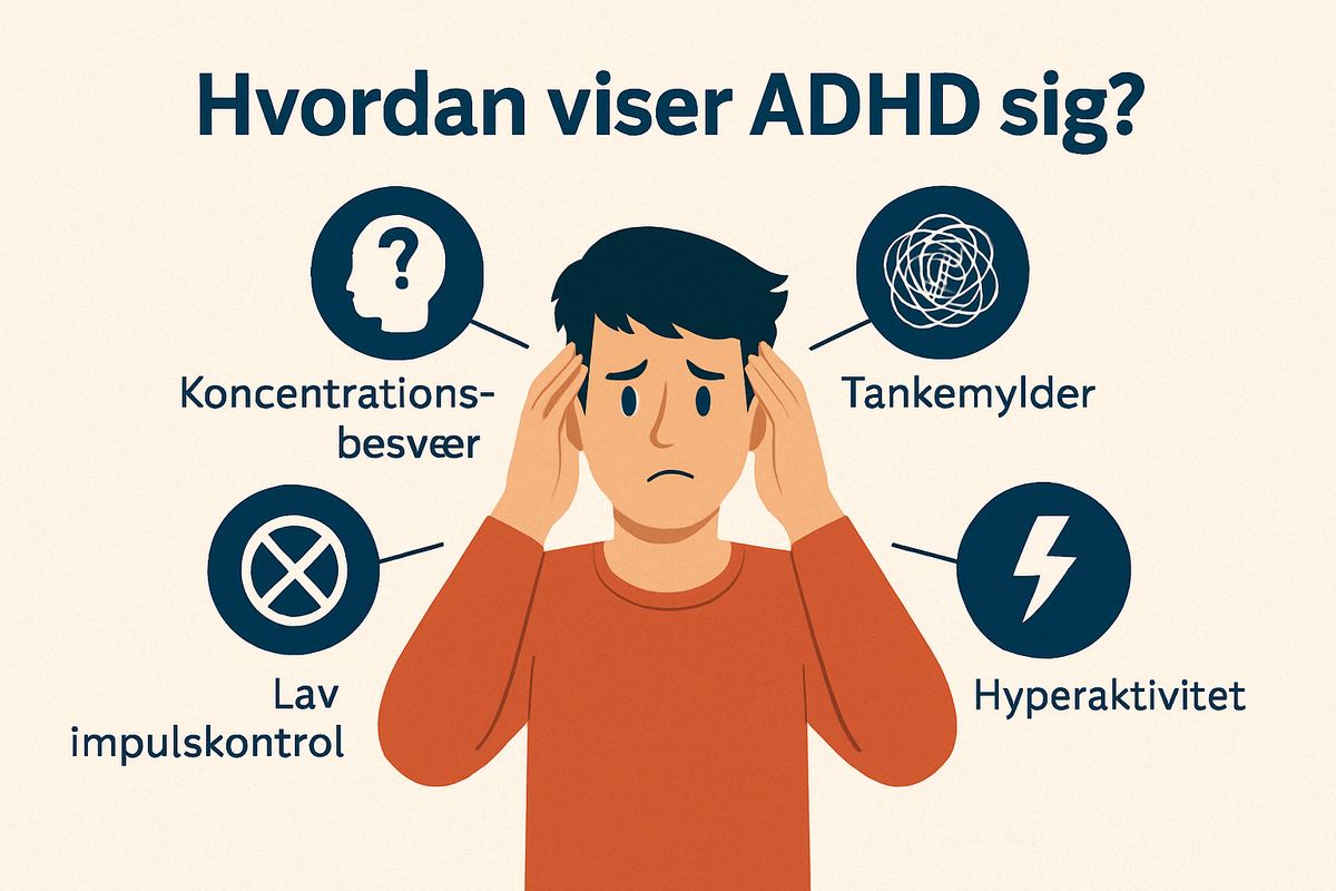 Infografik om ADHD: koncentration, tankemylder, impulskontrol og hyperaktivitet