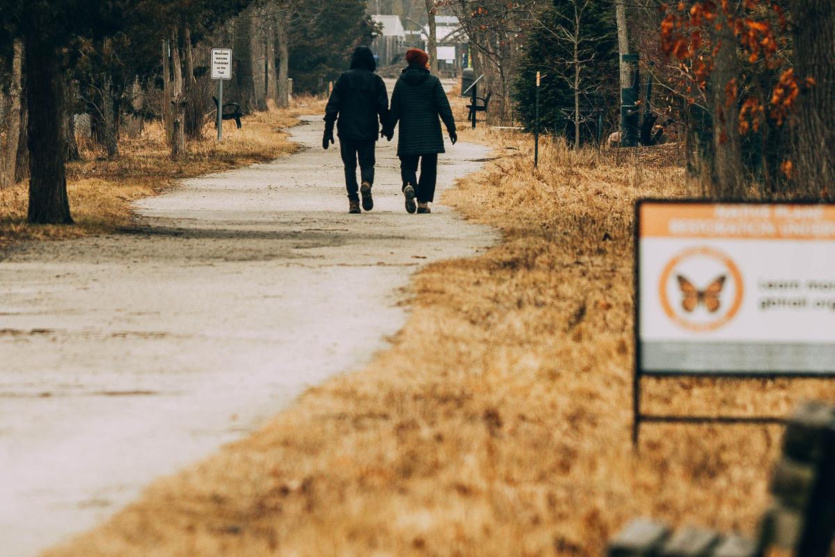 Par går hånd i hånd ad en allé i et efterårsklædt parklandskab