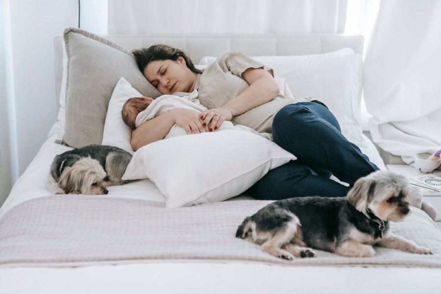 Træt mor sover på sengen ved siden af sin baby og to små hunde